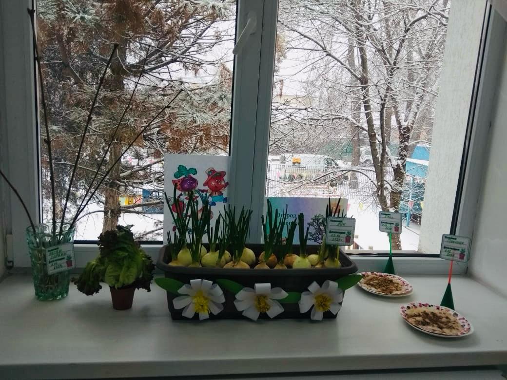Мектепалды "Звездочка" орыс тобы. Топтағы қысқы бау-бақша.